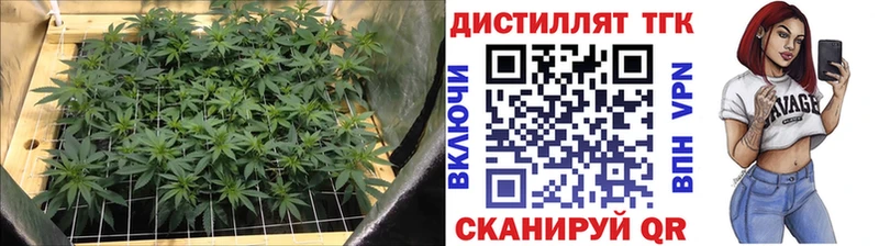 Дистиллят ТГК Wax  Самара 