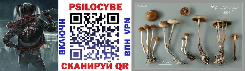 Галлюциногенные грибы Magic Shrooms даркнет сайт hydra ТОР Самара