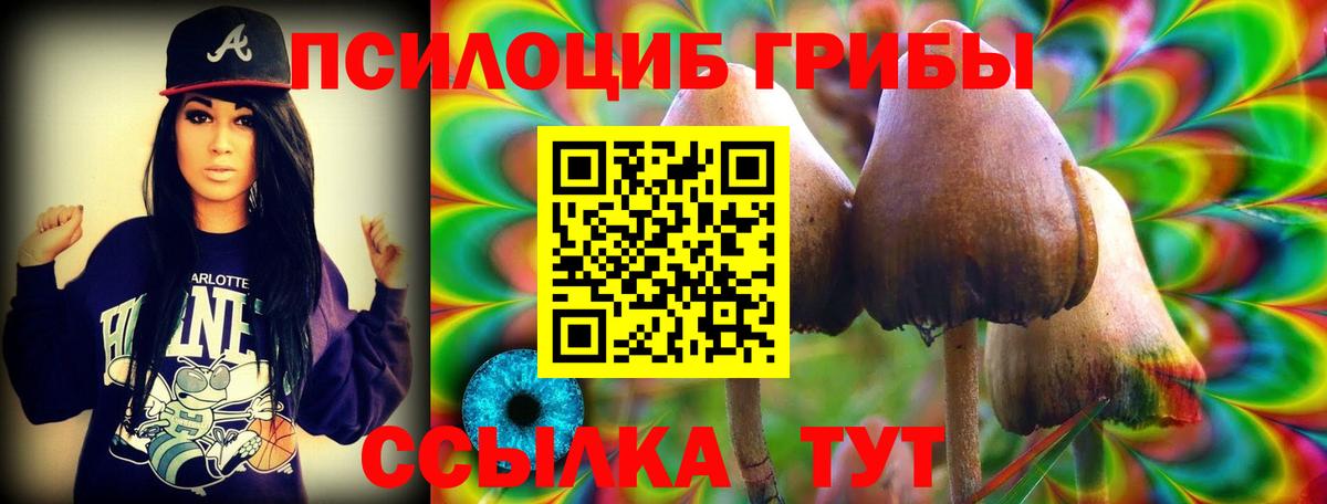 купить закладку  Вход с VPN  Самара  Псилоцибиновые грибы MAGIC MUSHROOMS 